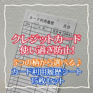 【即購入OK】5つの柄から選べる！クレカ利用履歴シート 15枚セット(その他)