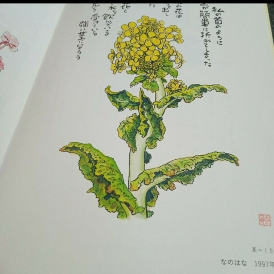 【フリーペーパー】花がくれた勇気　星野富弘×今日マチ子　　【小冊子】 エンタメ/ホビーの本(その他)の商品写真