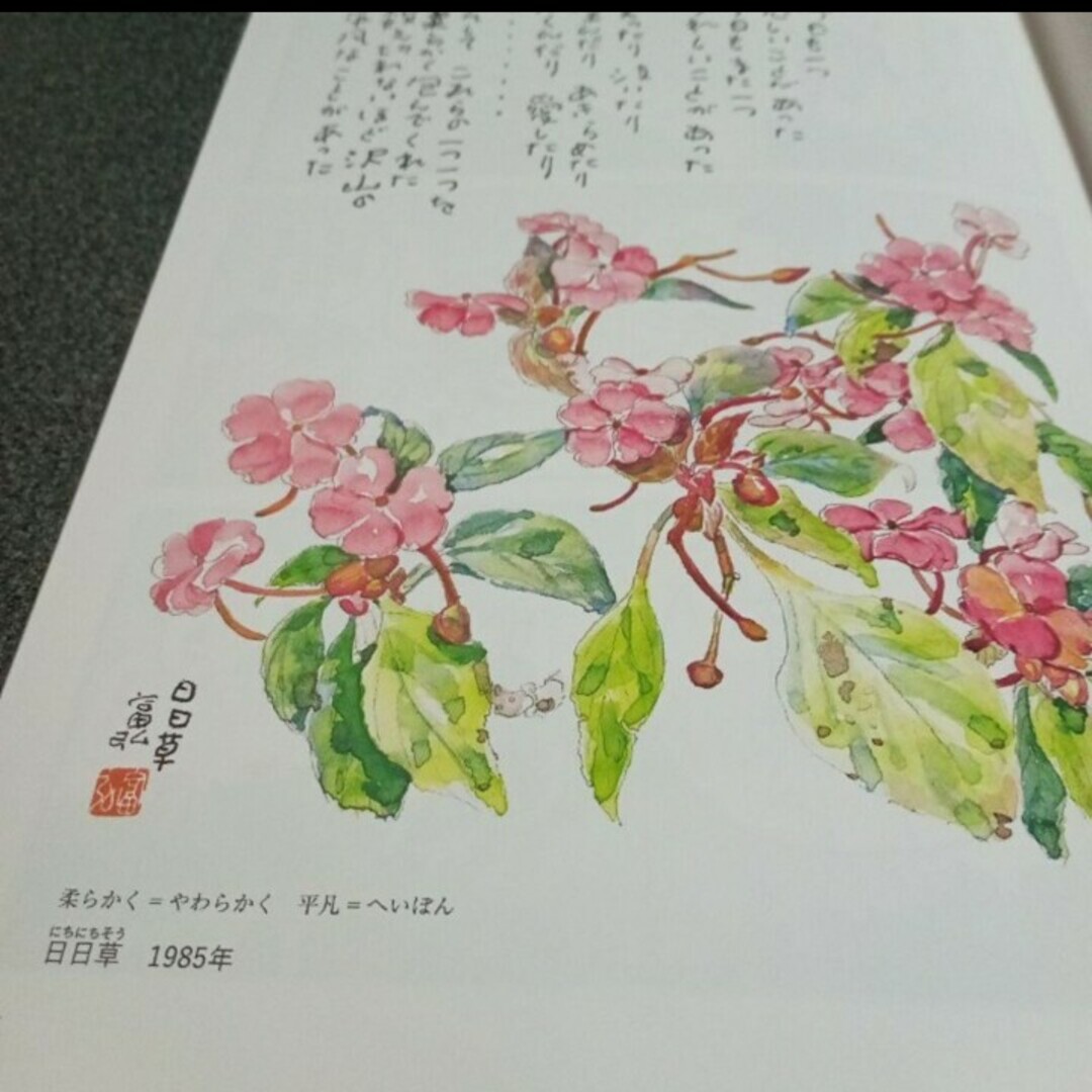 【フリーペーパー】花がくれた勇気　星野富弘×今日マチ子　　【小冊子】 エンタメ/ホビーの本(その他)の商品写真