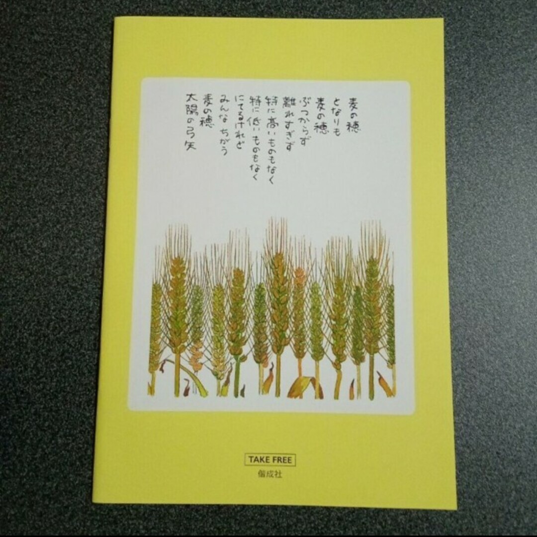 【フリーペーパー】花がくれた勇気　星野富弘×今日マチ子　　【小冊子】 エンタメ/ホビーの本(その他)の商品写真