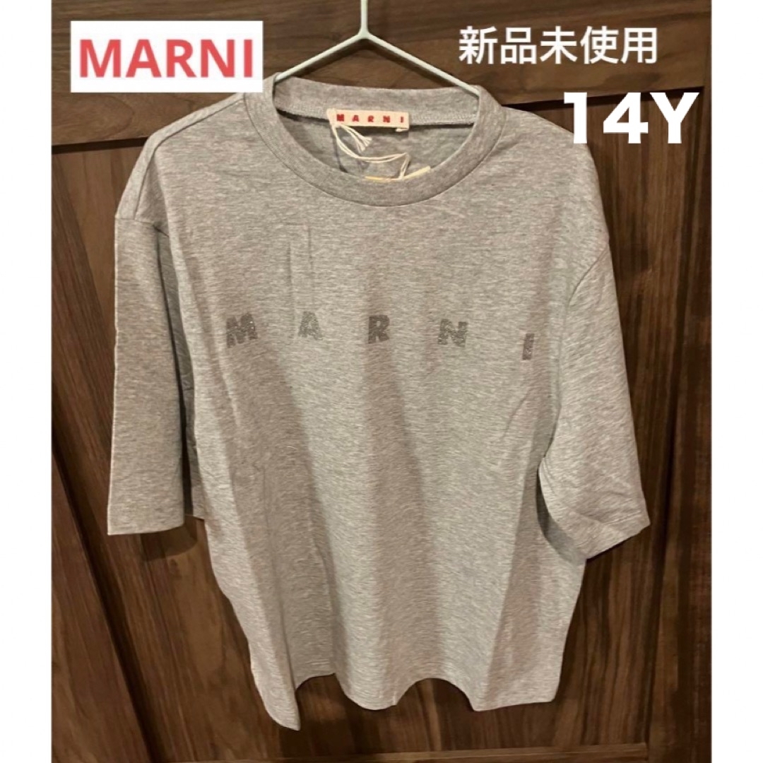 Marni(マルニ)の【新作】MARNI グリッターロゴTシャツ　ライトグレー　新品未使用 レディースのトップス(Tシャツ(半袖/袖なし))の商品写真