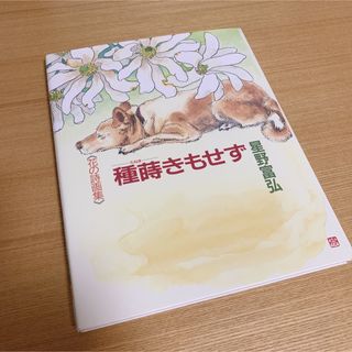 種蒔きもせず : 花の詩画集  星野富弘 詩画集