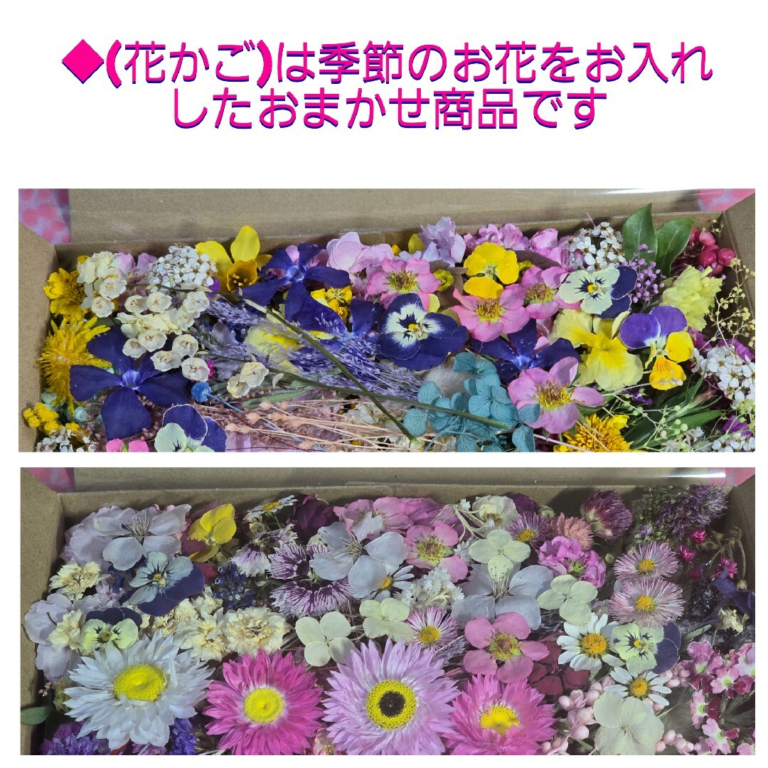 ドライフラワー花材(花かご) ハンドメイドのフラワー/ガーデン(ドライフラワー)の商品写真