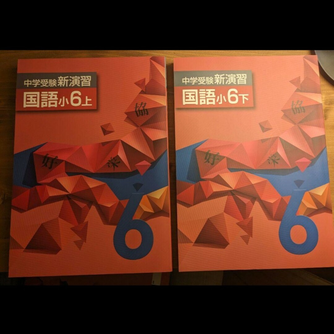 中学受験 新演習 小学生 小学6年生 小6 国語 上下 塾 テキスト 2冊 新品 エンタメ/ホビーの本(語学/参考書)の商品写真