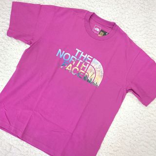 ザノースフェイス(THE NORTH FACE)の新品  一部限定店舗 ノースフェイス ビッグハーフドーム ピクチャーT ピンク(Tシャツ/カットソー(半袖/袖なし))