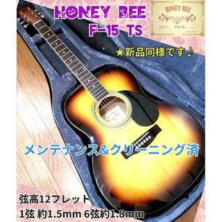 ハニービー(HONEY BEE)の★新品同様★Honey Bee F-15 TS(アコースティックギター)