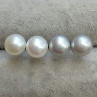 244 淡水真珠 ミニピアス 2色セット ホワイト グレー 本真珠 セレモニー(ピアス)