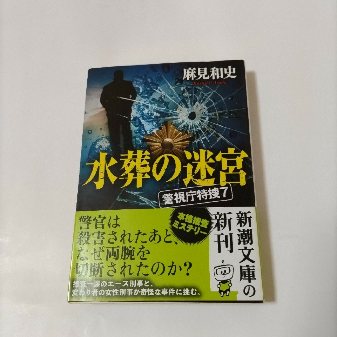 水葬の迷宮 エンタメ/ホビーの本(その他)の商品写真