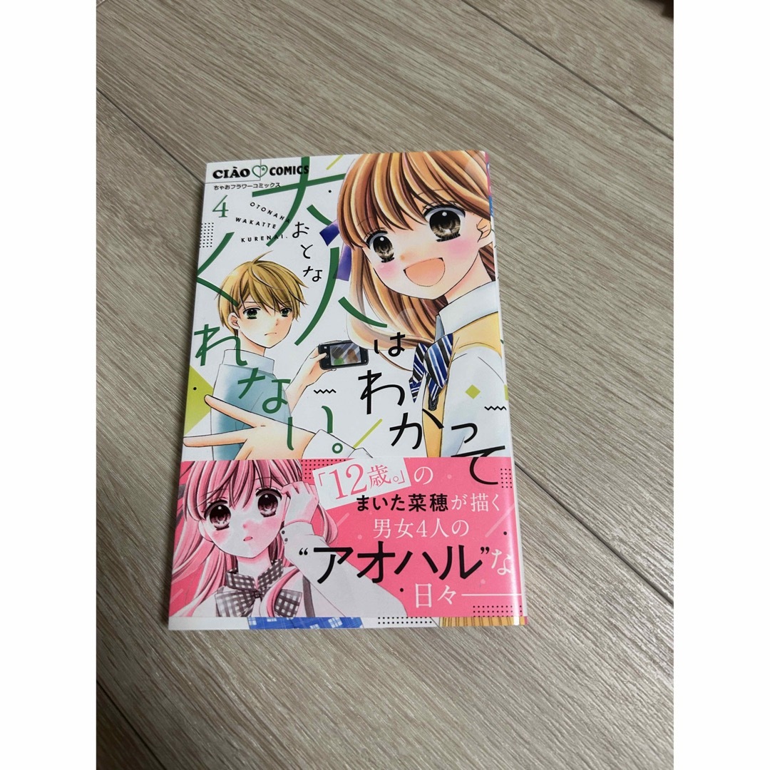 大人はわかってくれない　4巻 エンタメ/ホビーの漫画(少女漫画)の商品写真