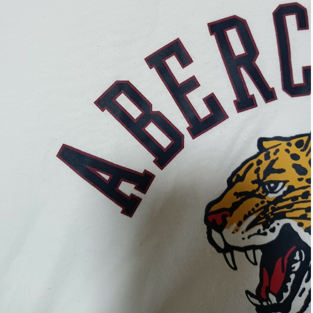 Abercrombie&Fitch(アバクロンビーアンドフィッチ)のアバクロ　Tシャツ　サイズM メンズのトップス(Tシャツ/カットソー(半袖/袖なし))の商品写真