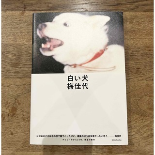白い犬(趣味/スポーツ/実用)