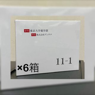 11-1乳酸菌 いちいちのいち 6箱