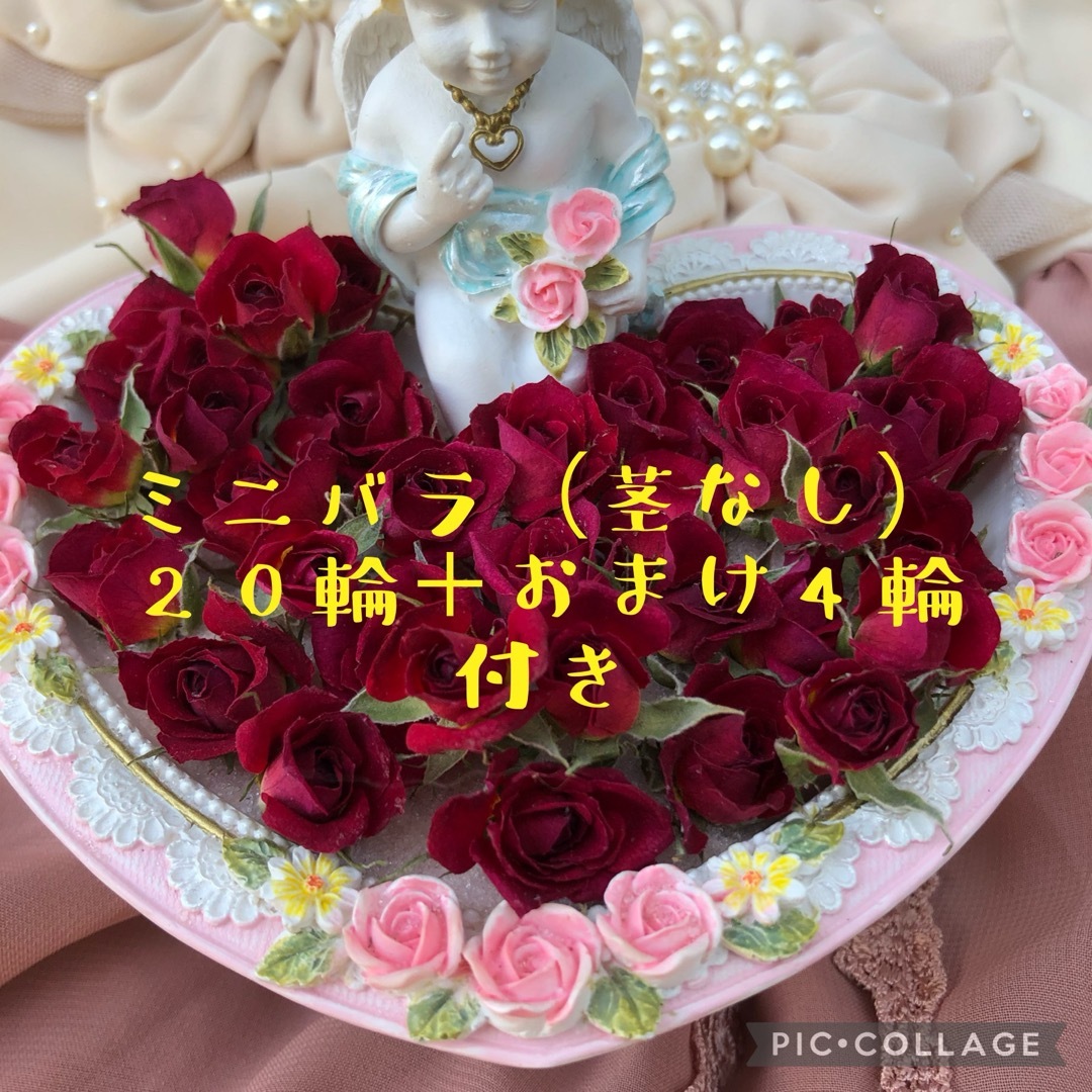 ミニバラ（茎なし〜数㍉）20輪セット+おまけ4輪付き！★ミニ薔薇　ドライフラワー ハンドメイドの素材/材料(その他)の商品写真