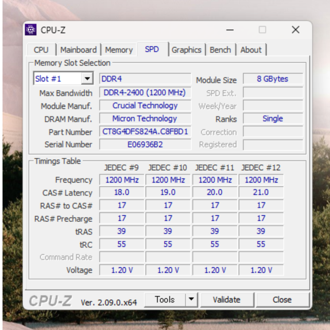 CFD(Crucial) DDR4 8GB 2400mhz 1枚 スマホ/家電/カメラのPC/タブレット(PCパーツ)の商品写真