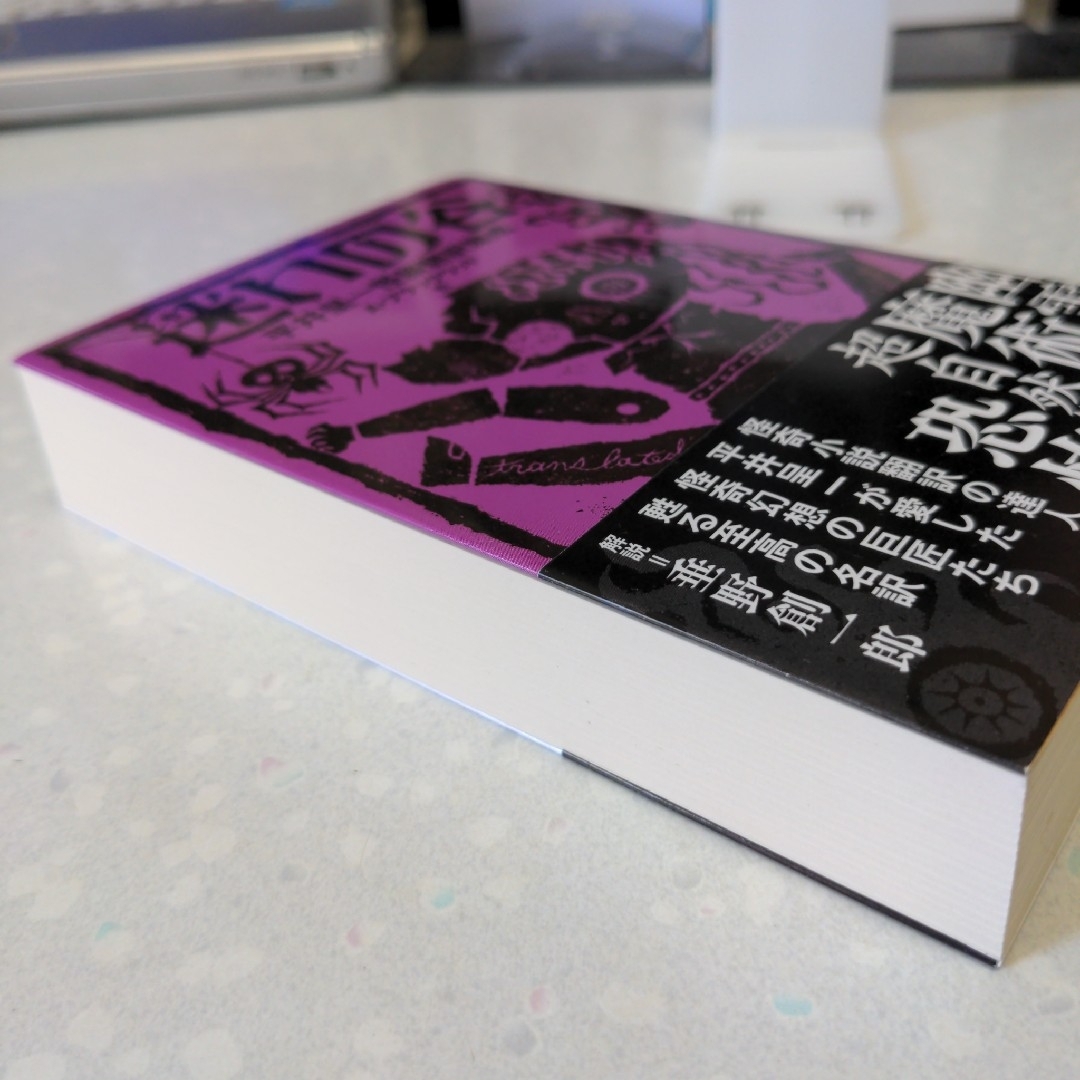 迷いの谷 平井呈一怪談翻訳集成 エンタメ/ホビーの本(文学/小説)の商品写真