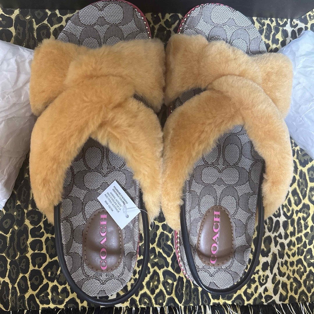 COACH - 正規品 本物 希少 激レア コーチ COACH コレクション COACH - 正規品 本物 希少 激レア コーチ COACH コレクション