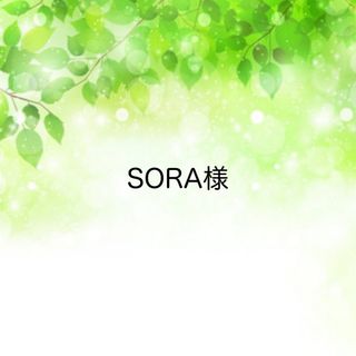 SORA様☆専用ページ(その他)