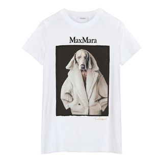 マックスマーラ(Max Mara)のMAXMARA DOG Tシャツ(Tシャツ(半袖/袖なし))