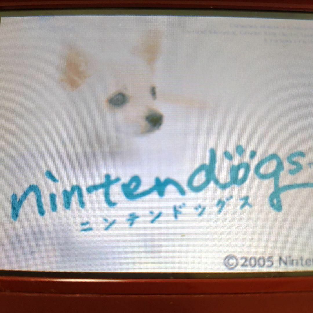 ニンテンドーDS(ニンテンドーDS)のnintendogs チワワ＆フレンズ エンタメ/ホビーのゲームソフト/ゲーム機本体(携帯用ゲームソフト)の商品写真