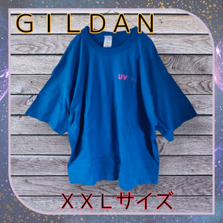 ギルタン(GILDAN)の海外古着　GILDAN　XXL　3L⑩(Tシャツ/カットソー(半袖/袖なし))