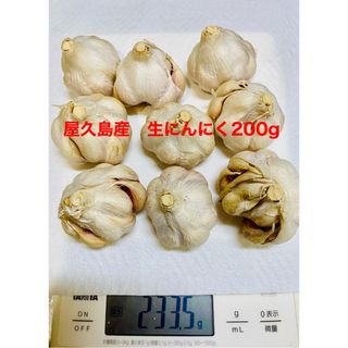 屋久島産　にんにく　200g  不揃い　自然栽培(野菜)