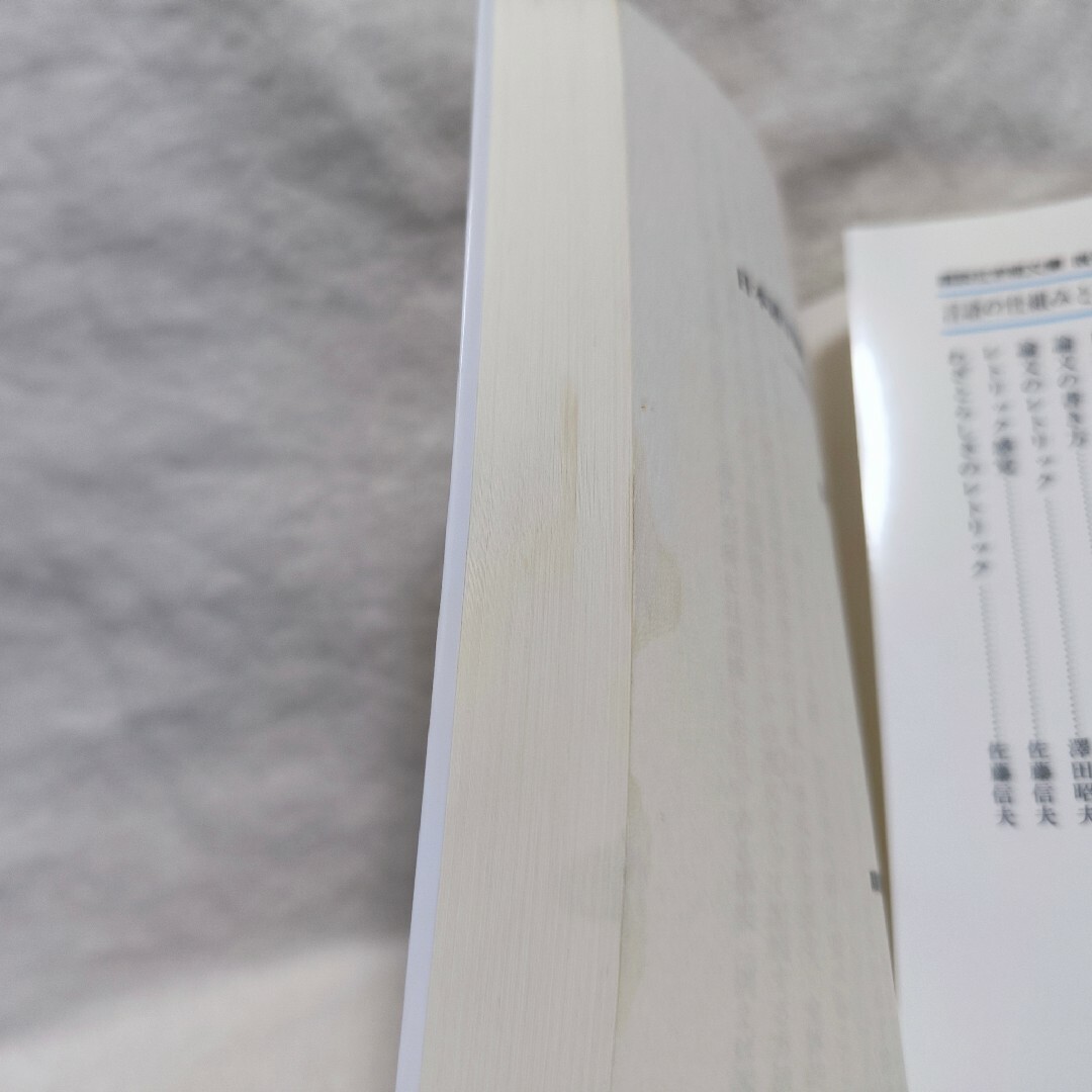日本語は国際語になりうるか エンタメ/ホビーの本(人文/社会)の商品写真