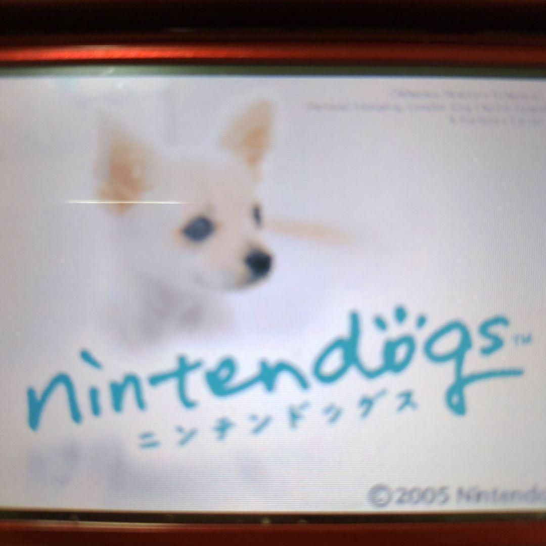 ニンテンドーDS(ニンテンドーDS)のnintendogs チワワ＆フレンズ エンタメ/ホビーのゲームソフト/ゲーム機本体(携帯用ゲームソフト)の商品写真