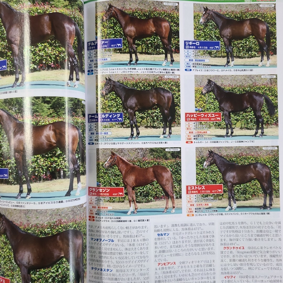 匿名配送、送料無料、即購入OK!週刊ギャロップ臨時増刊POG2024~2025 エンタメ/ホビーの雑誌(専門誌)の商品写真