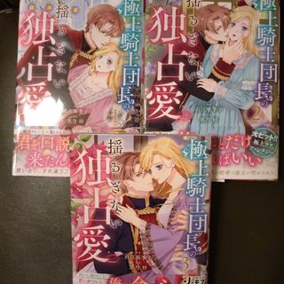 極上騎士団長の揺るぎない独占愛1〜3(その他)