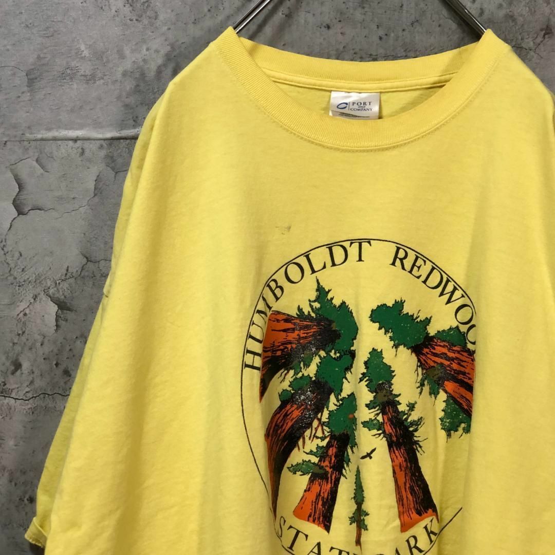 HUMBOLDT REDWOODS 木 デザイン 森林 Tシャツ メンズのトップス(Tシャツ/カットソー(半袖/袖なし))の商品写真