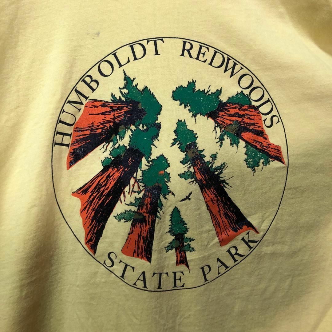 HUMBOLDT REDWOODS 木 デザイン 森林 Tシャツ メンズのトップス(Tシャツ/カットソー(半袖/袖なし))の商品写真
