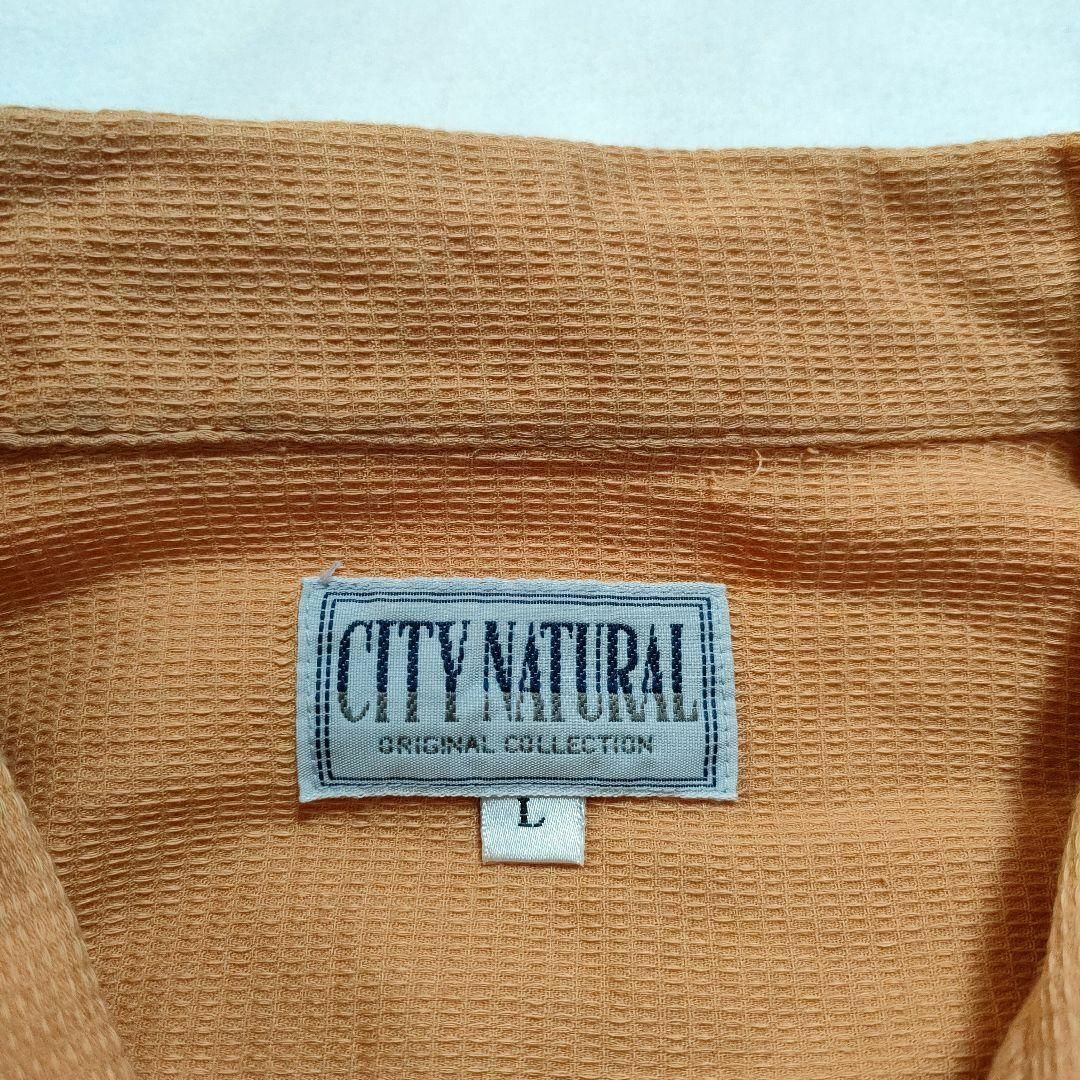 CITY NATURAL　(L)　半袖シャツ メンズのトップス(シャツ)の商品写真