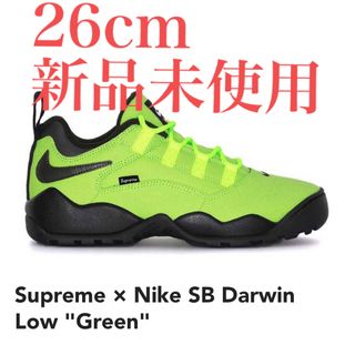 シュプリーム(Supreme)のSupreme Nike SB Darwin Low Green 26cm(スニーカー)