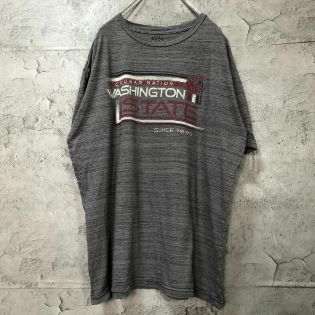 WASHINGTON STATE USA輸入 オーバーサイズ Tシャツ メンズのトップス(Tシャツ/カットソー(半袖/袖なし))の商品写真