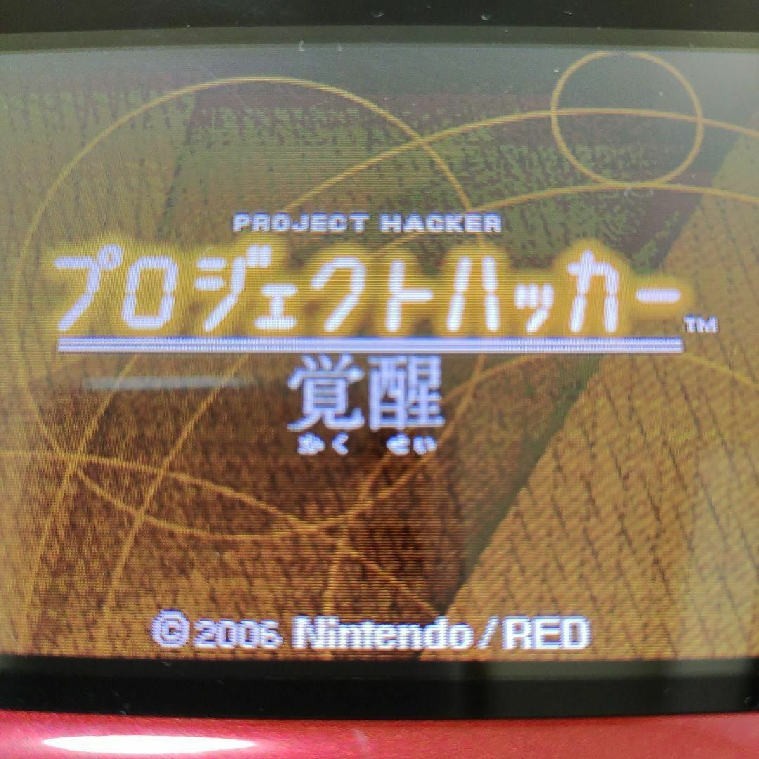 ニンテンドーDS(ニンテンドーDS)のプロジェクトハッカー 覚醒 エンタメ/ホビーのゲームソフト/ゲーム機本体(携帯用ゲームソフト)の商品写真