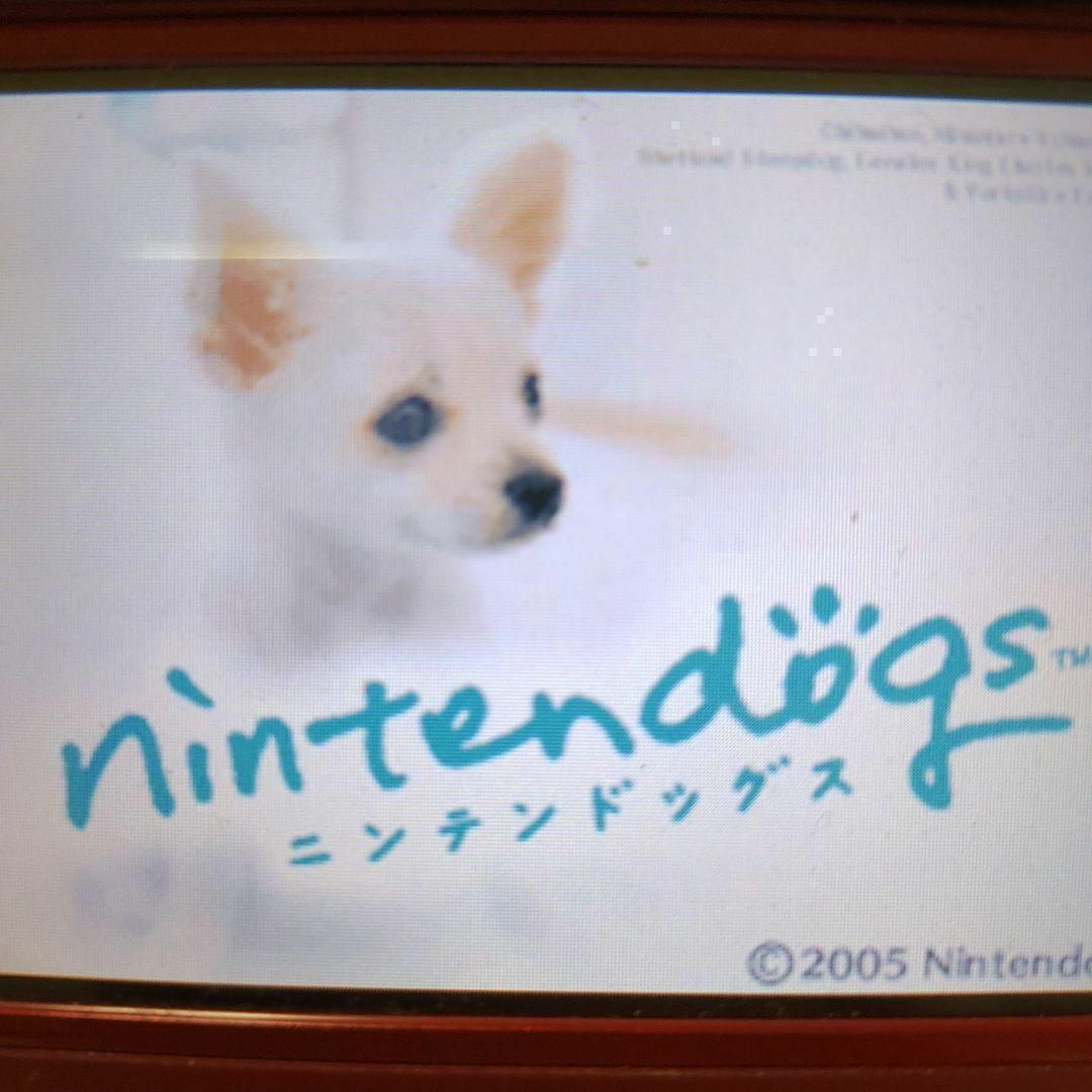 ニンテンドーDS(ニンテンドーDS)のnintendogs チワワ＆フレンズ エンタメ/ホビーのゲームソフト/ゲーム機本体(携帯用ゲームソフト)の商品写真