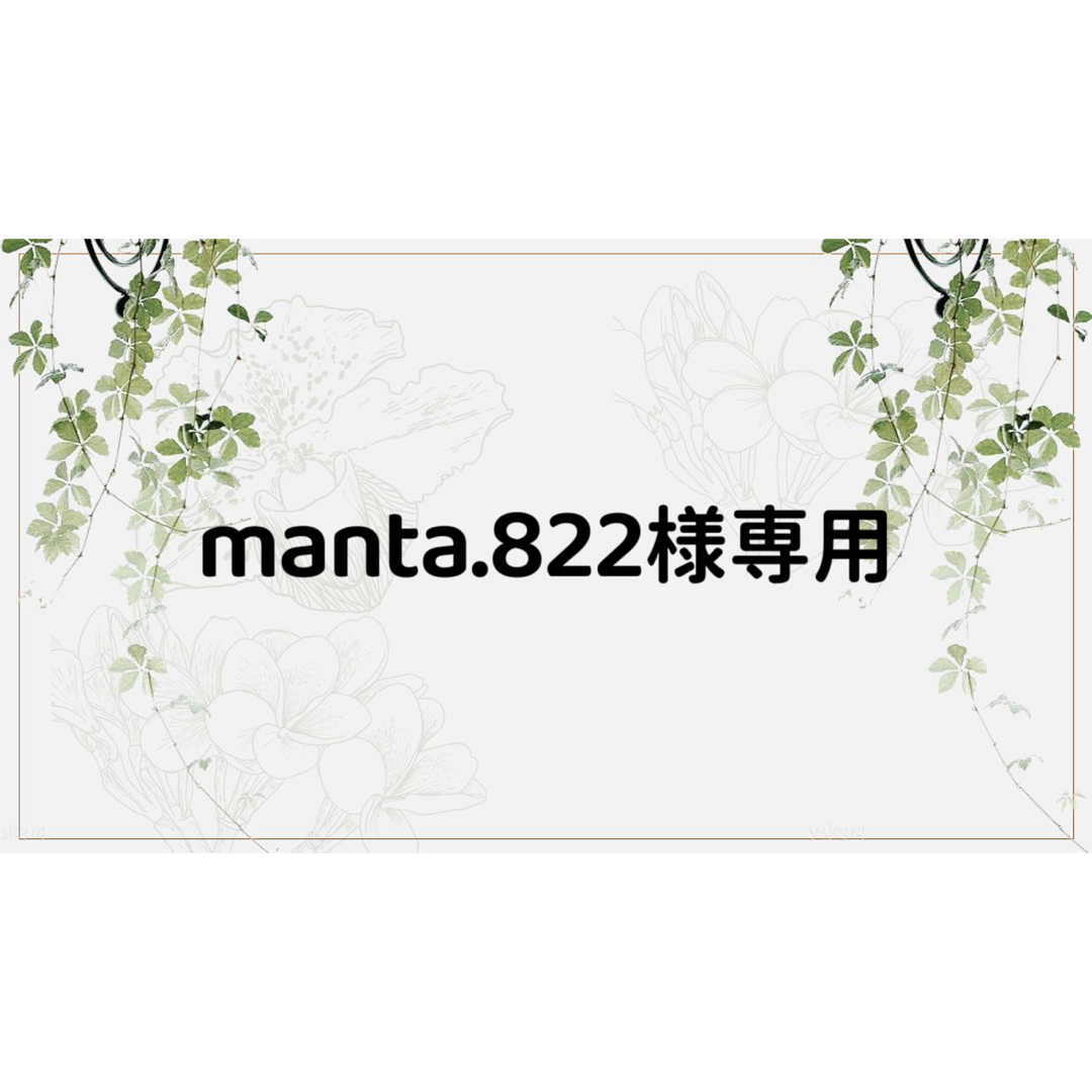 manta.822様専用ページ ハンドメイドの文具/ステーショナリー(しおり/ステッカー)の商品写真