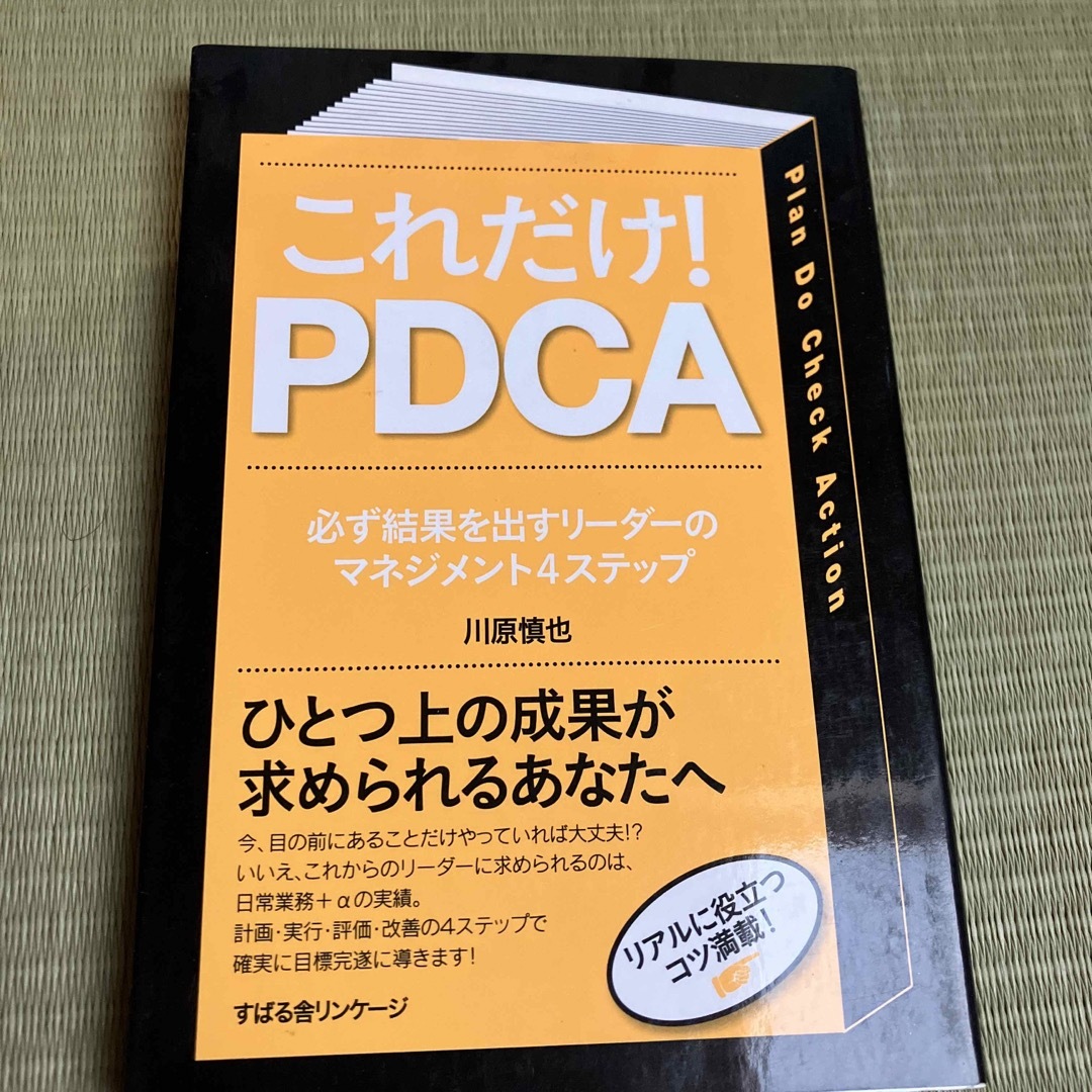 これだけ！　ＰＤＣＡ エンタメ/ホビーの本(その他)の商品写真