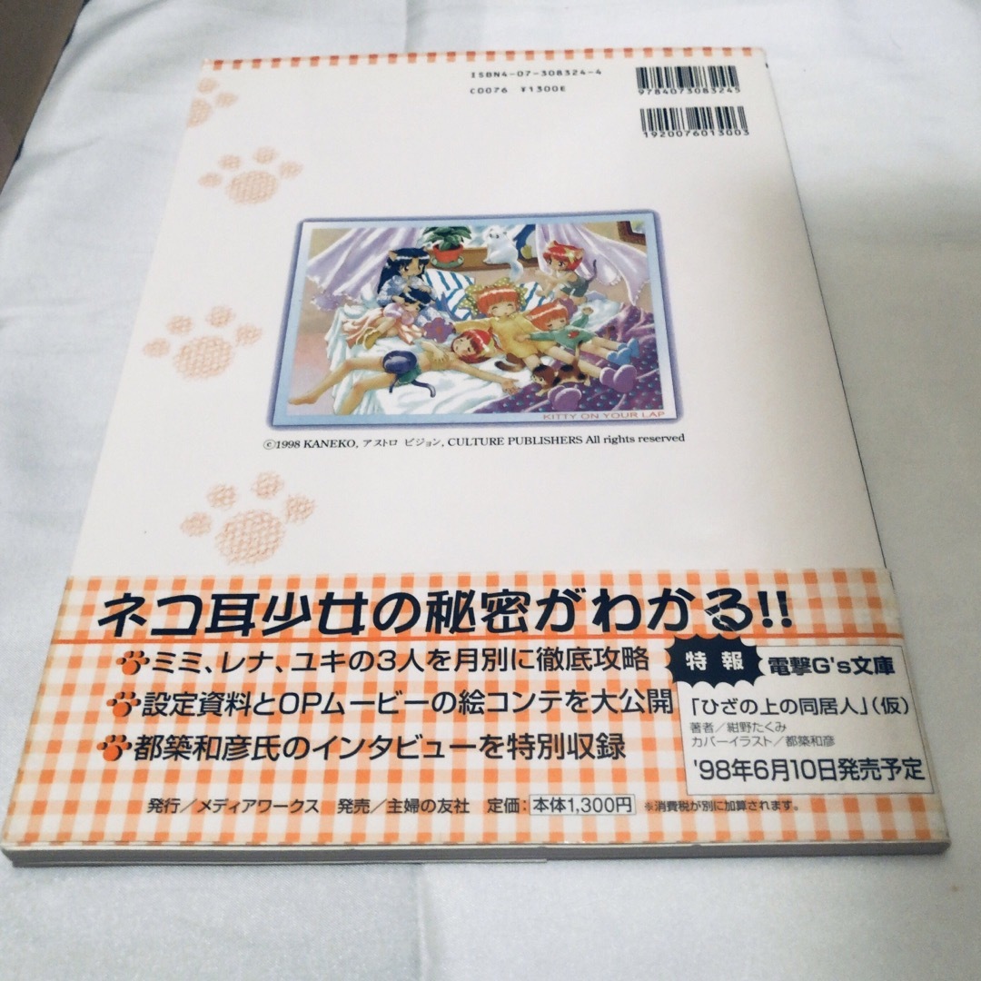 ひざの上の同居人 ぱーとなー KITTY ON YOUR LAP  攻略ガイド エンタメ/ホビーの本(アート/エンタメ)の商品写真