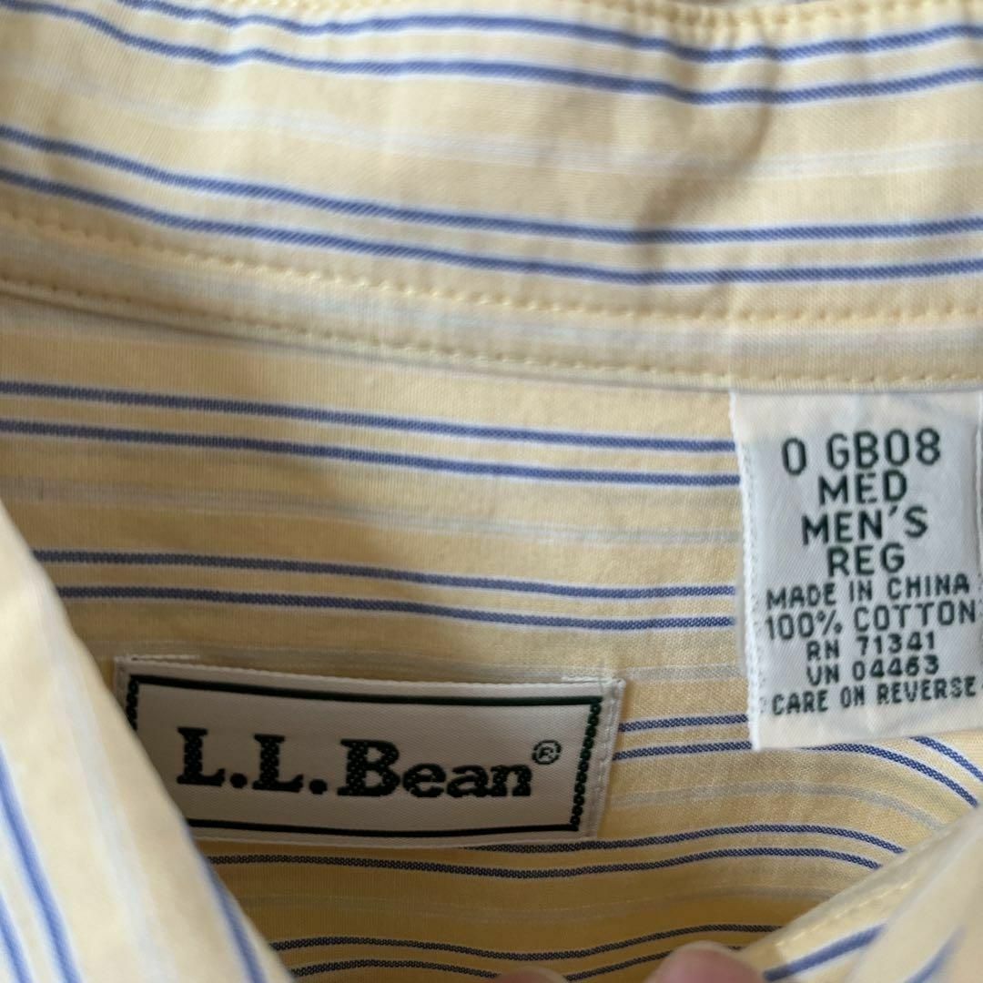 L.L.Bean(エルエルビーン)のF3 L.L.BEAN ストライプシャツ　長袖　コットン　L〜XLメンズ相当 メンズのトップス(Tシャツ/カットソー(七分/長袖))の商品写真