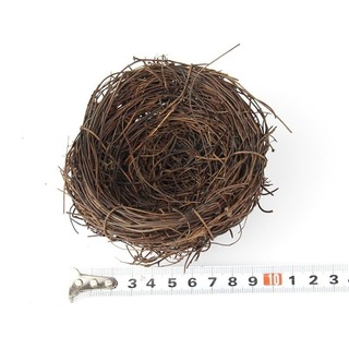 鳥の巣(10cm)2つセット　小鳥の巣　インテリア　鳥の巣アレンジ　小鳥ハウス(その他)