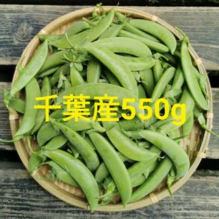 千葉産 スナップえんどう 550g 農薬不使用 朝採り 新鮮 本日発送 ワケあり(野菜)