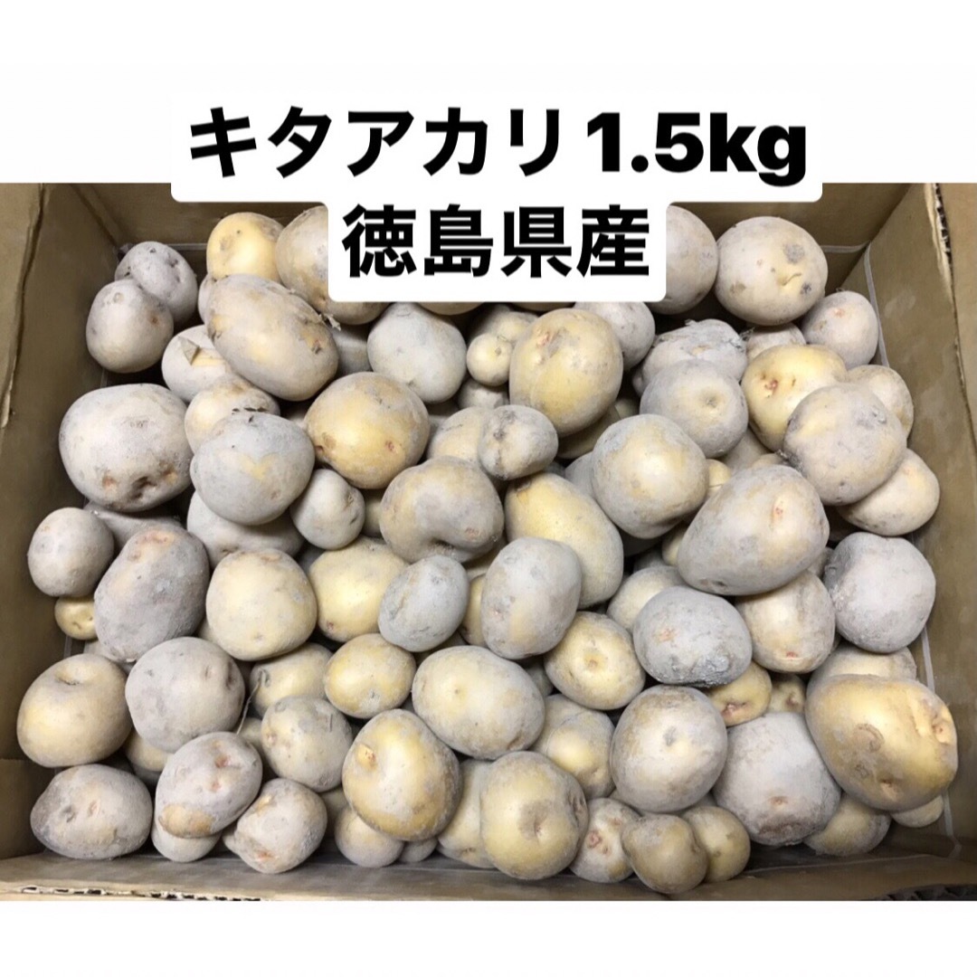 新じゃがいも　キタアカリ　1.5kg コロコロサイズ 食品/飲料/酒の食品(野菜)の商品写真