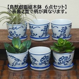 【鳥獣戯画 植木鉢6個】そば猪口型植木鉢　鳥獣戯画　兎　蛙　猿(プランター)