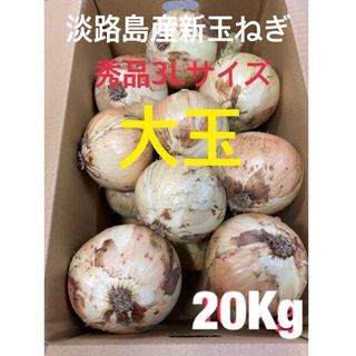 ⭕️秀品3Lサイズ20Kg⭕️淡路島新玉ねぎ　たまねぎ　玉葱(野菜)