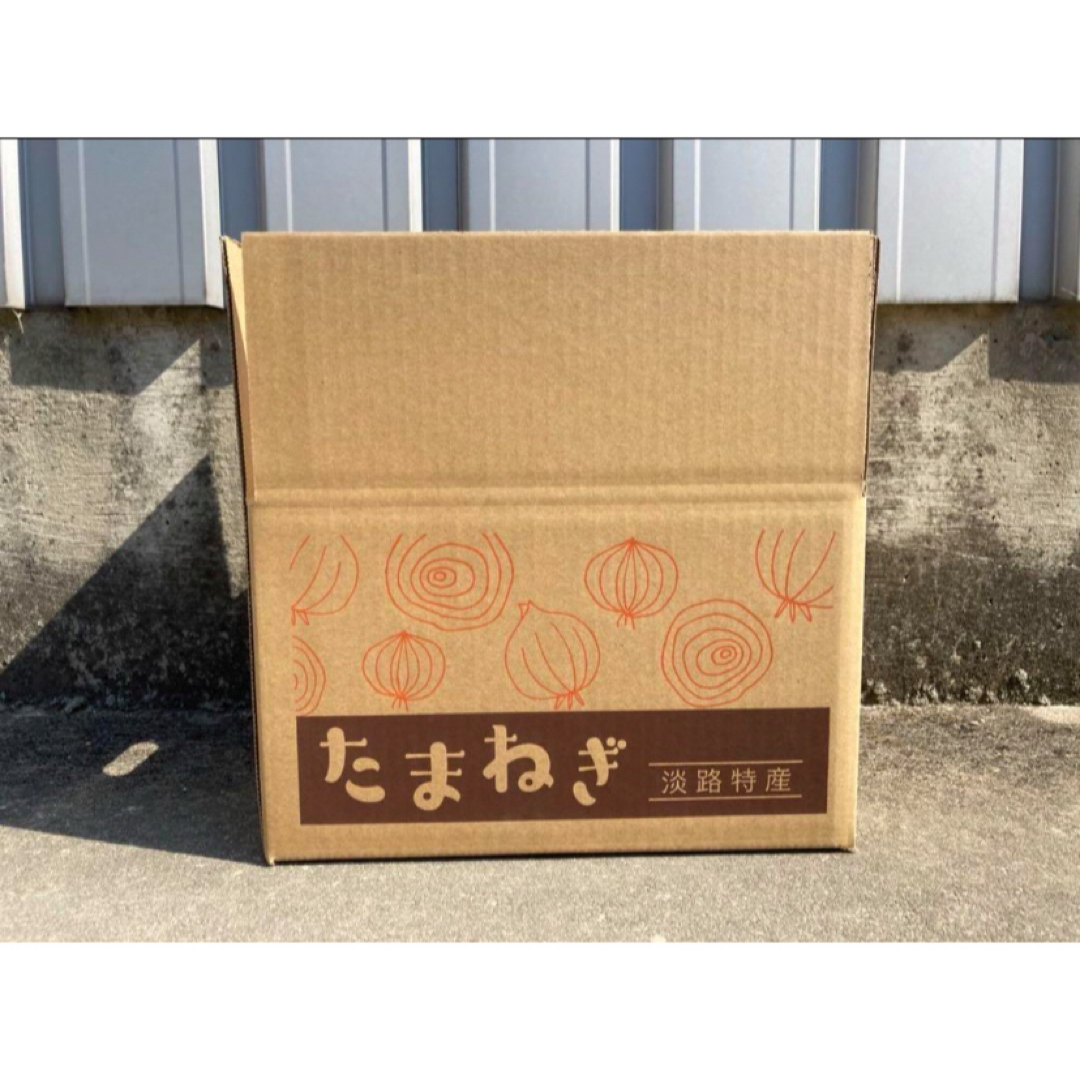 ♦️秀品3Lサイズ10Kg ♦️淡路島新玉ねぎ　たまねぎ　玉葱 食品/飲料/酒の食品(野菜)の商品写真