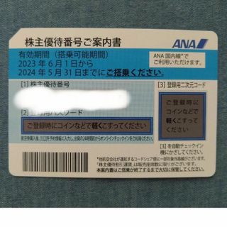 エーエヌエー(ゼンニッポンクウユ)(ANA(全日本空輸))のANA株主優待券　1枚(その他)