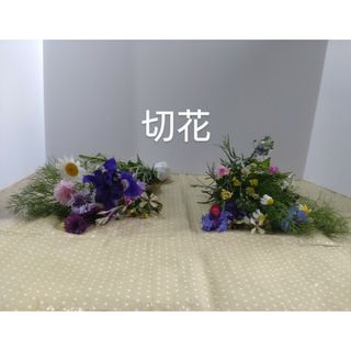 もうすぐ終了切花(プランター)