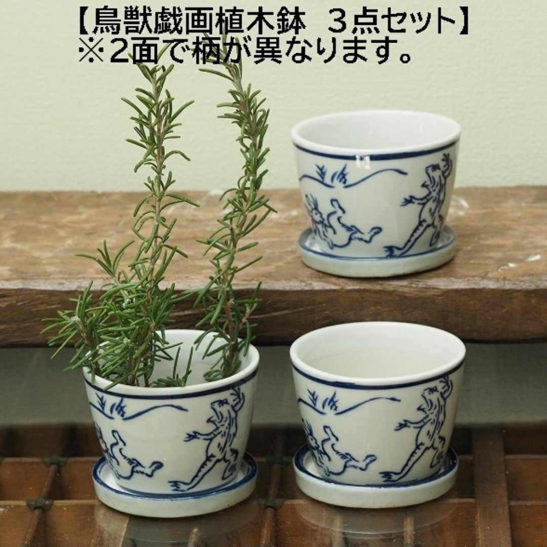 【鳥獣戯画 植木鉢3個】そば猪口型植木鉢　鳥獣戯画　兎　蛙　猿 ハンドメイドのフラワー/ガーデン(プランター)の商品写真