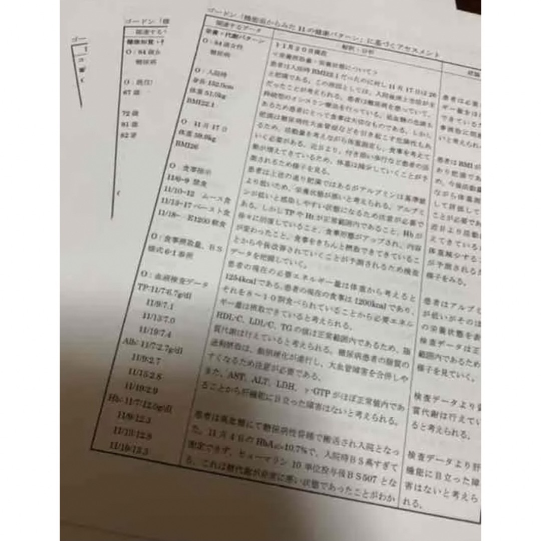 ゴードン看護過程　関連図 エンタメ/ホビーの本(語学/参考書)の商品写真